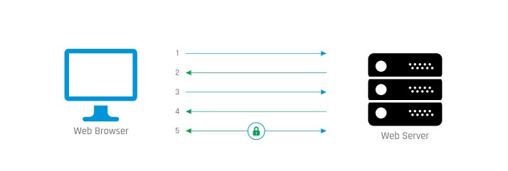 Sơ đồ kết nối SSL cuả healcheckpro